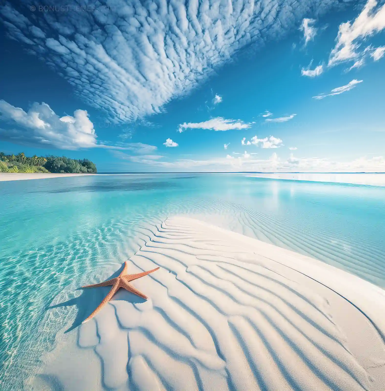 Maldives Starfish Haven - Tropical Paradise | Exotic Beach AI Image